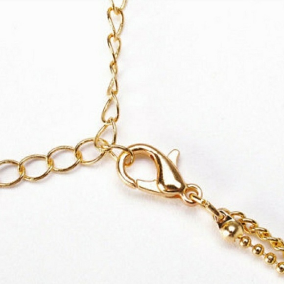 Double Feather Necklace - Picture 5 of 5